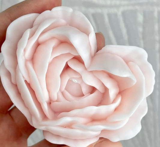 Rosa a cuore